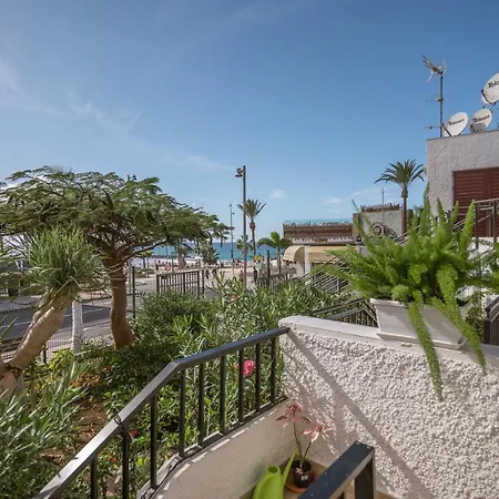 The Little Jewel With Ocean View - Americas * Playa de las Americas (Tenerife)